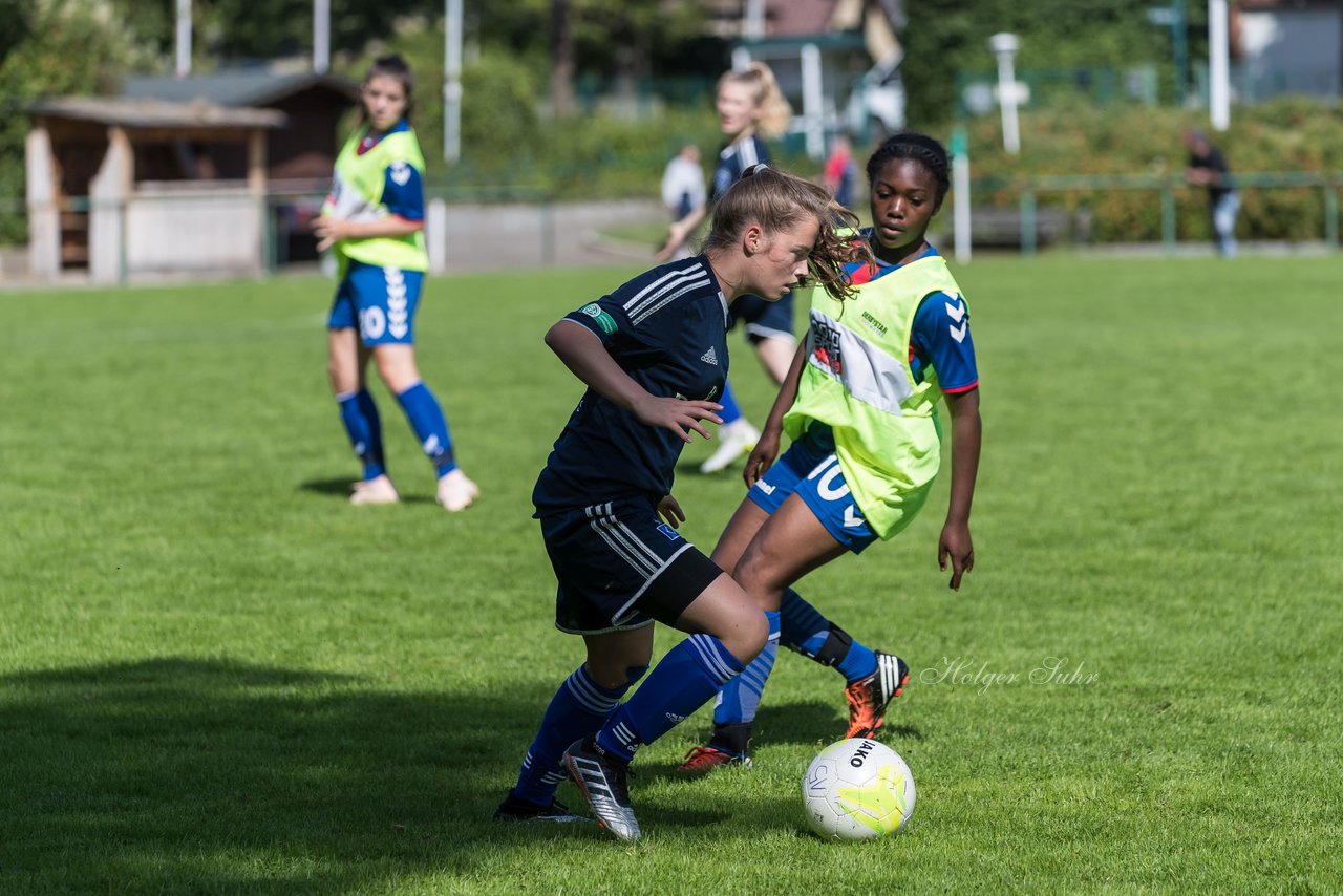 Bild 61 - B-Juniorinnen VfL Pinneberg - HSV : Ergebnis: 1:4